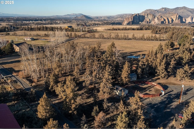 birds eye view of property featuring a mountain view