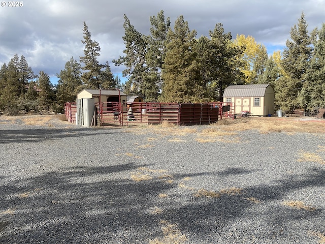 view of yard featuring a shed