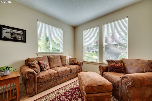 1551 S 14th Cir, Ridgefield, WA 98642 - living area with baseboards