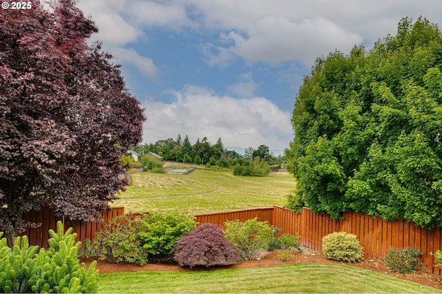1551 S 14th Cir, Ridgefield, WA 98642 - view of yard