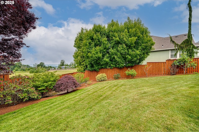 1551 S 14th Cir, Ridgefield, WA 98642 - view of yard