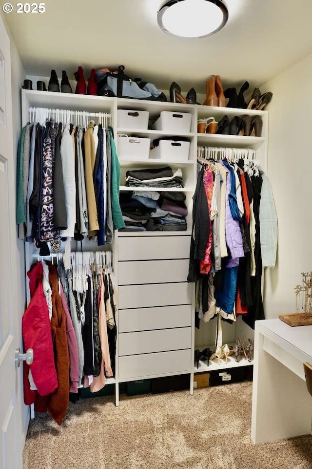 view of closet