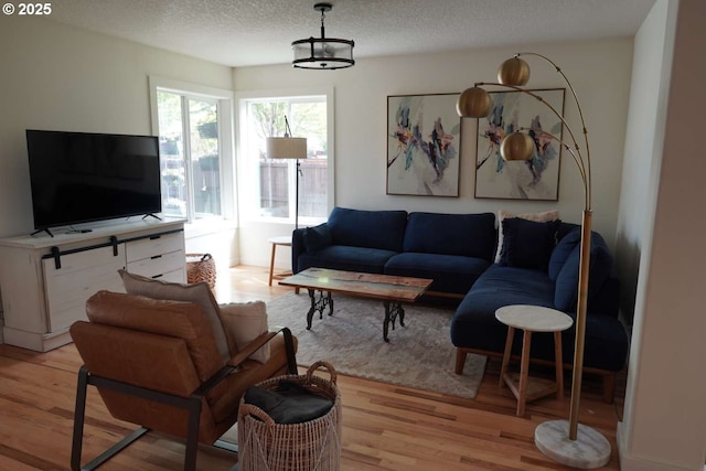 living room featuring a textured ceiling and wood finished floors