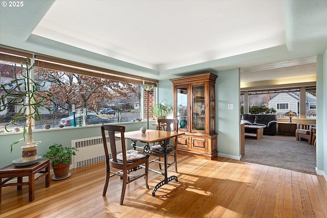 dining room featuring radiator, light hardwood / wood-style floors, and a raised ceiling