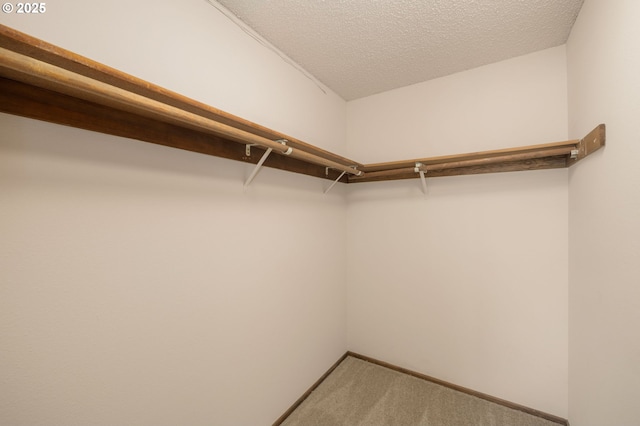 6416 SW 33rd Pl, Portland, OR 97239 - walk in closet featuring carpet flooring