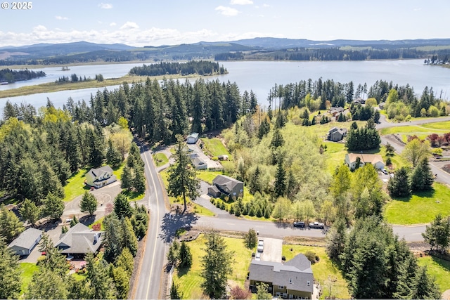 drone / aerial view featuring a water and mountain view