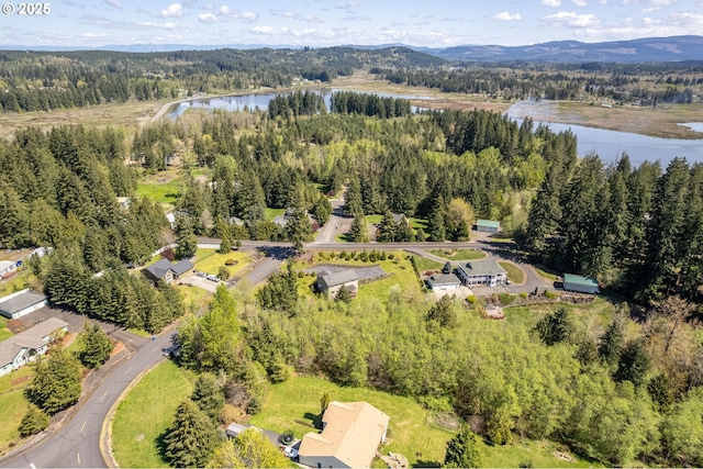 drone / aerial view featuring a forest view and a water and mountain view