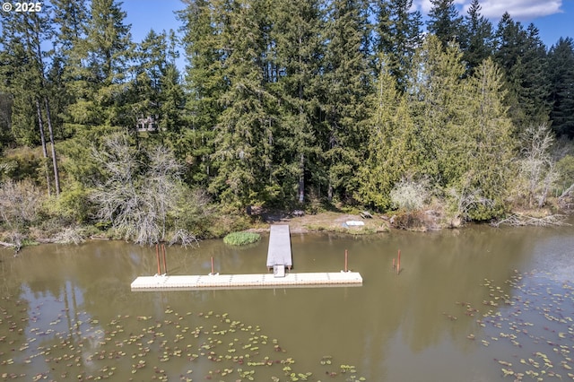 dock area featuring a wooded view and a water view