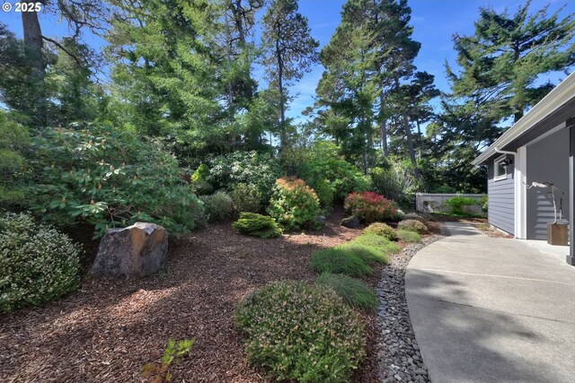 88005 Windleaf Way, Florence, OR 97439 - view of yard with a patio
