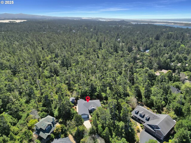 88005 Windleaf Way, Florence, OR 97439 - bird's eye view with a forest view