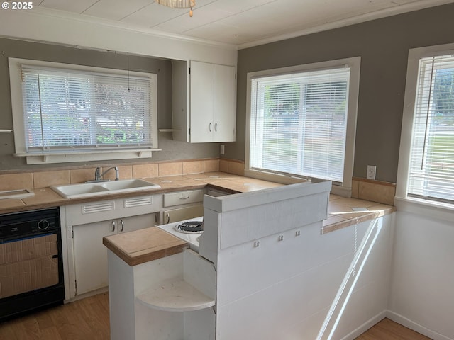 76464 High St, Oakridge, OR 97463 - kitchen with a sink, open shelves, white cabinetry, healthy amount of natural light, and crown molding