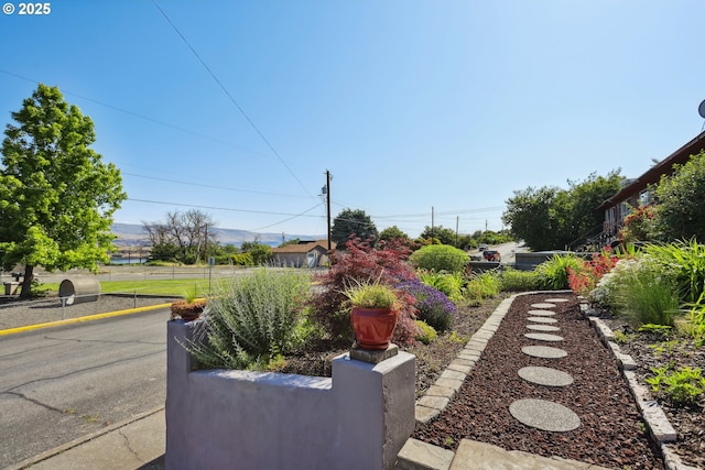 1900 E 10th St, The Dalles, OR 97058 - view of yard