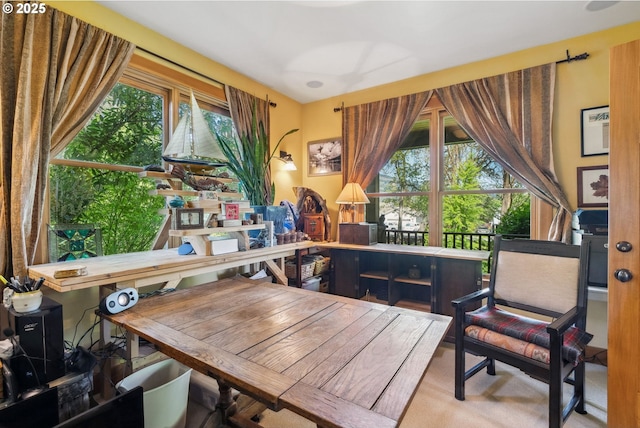 4069 Post Canyon Dr, Hood River, OR 97031 - sitting room featuring healthy amount of natural light and carpet floors