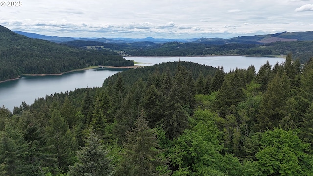 83715 Peninsula Rd, Fall Creek, OR 97438