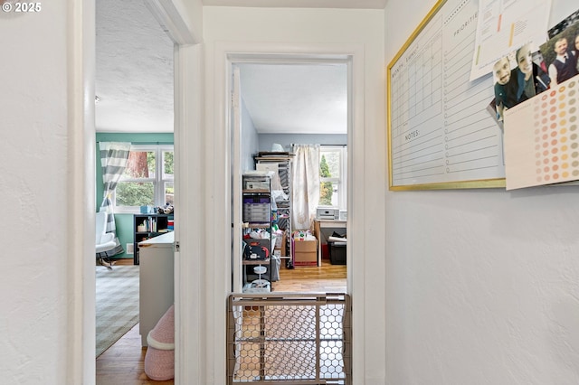 3505 Donald St, Eugene, OR 97405 - hall with plenty of natural light and wood finished floors