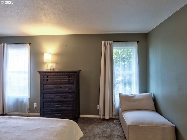 bedroom featuring a textured ceiling, multiple windows, carpet, and baseboards