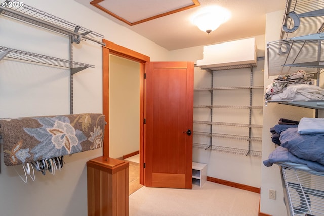 390 Singing Waters Rd, Winchester, OR 97495 - spacious closet featuring carpet and attic access
