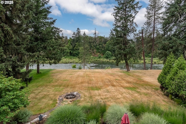 390 Singing Waters Rd, Winchester, OR 97495 - view of green lawn with a water view