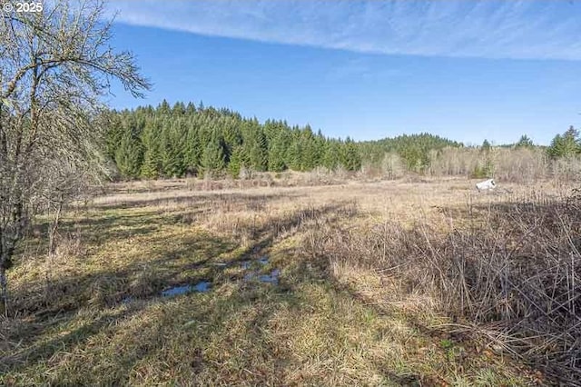 view of landscape with a wooded view