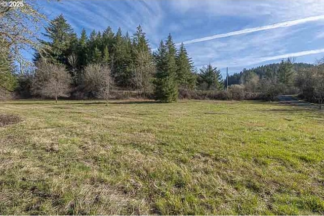 view of yard with a wooded view