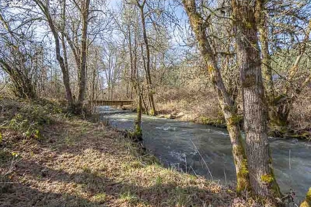 water view with a view of trees