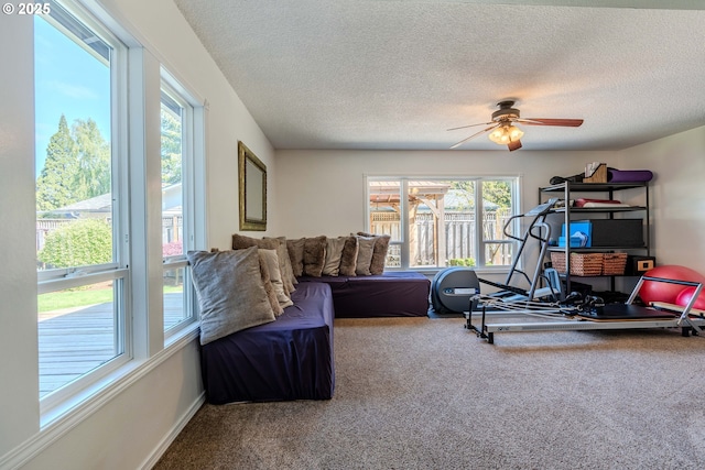 workout area with a ceiling fan, carpet flooring, and a textured ceiling