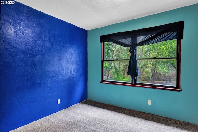 1541 Buckhorn Rd, Roseburg, OR 97470 - unfurnished room with carpet floors