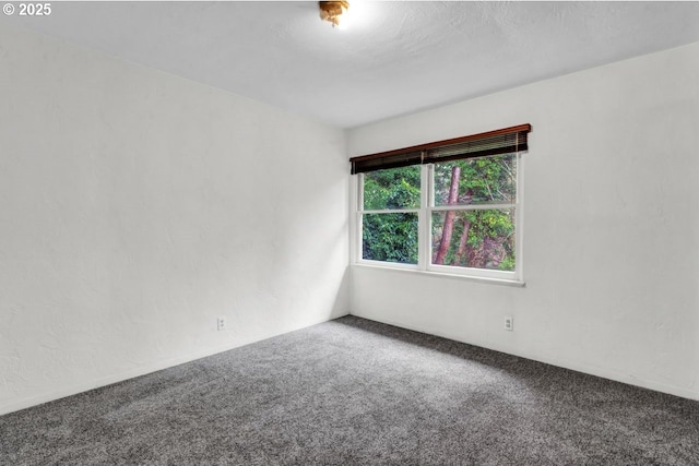1541 Buckhorn Rd, Roseburg, OR 97470 - view of carpeted empty room