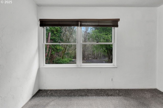 1541 Buckhorn Rd, Roseburg, OR 97470 - view of carpeted empty room