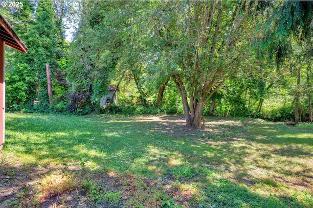 1541 Buckhorn Rd, Roseburg, OR 97470 - view of grassy yard with a view of trees