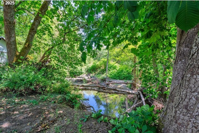1541 Buckhorn Rd, Roseburg, OR 97470 - view of yard