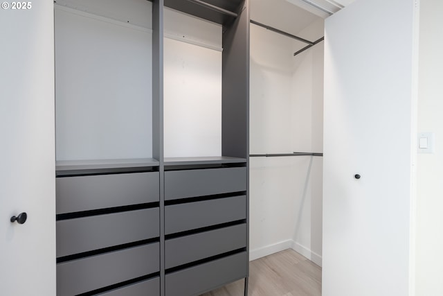 spacious closet featuring light hardwood / wood-style flooring