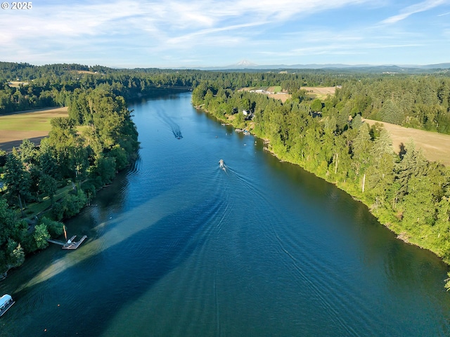800 Rosemont Rd, West Linn, OR 97068 - drone / aerial view of a forest and a nearby body of water