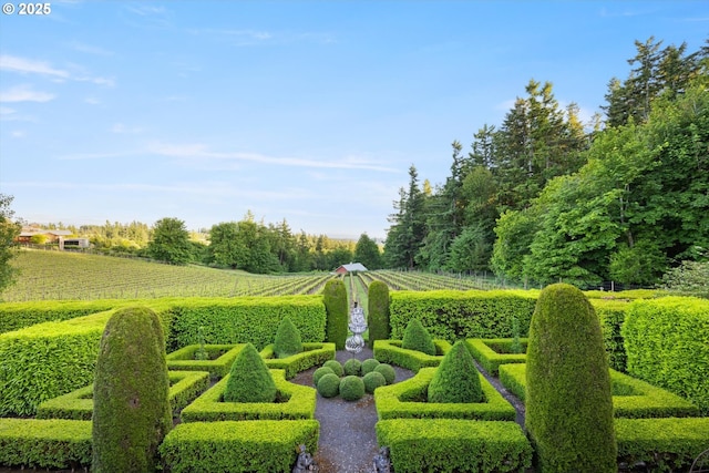 800 Rosemont Rd, West Linn, OR 97068 - surrounding community with agricultural plots and a view of countryside