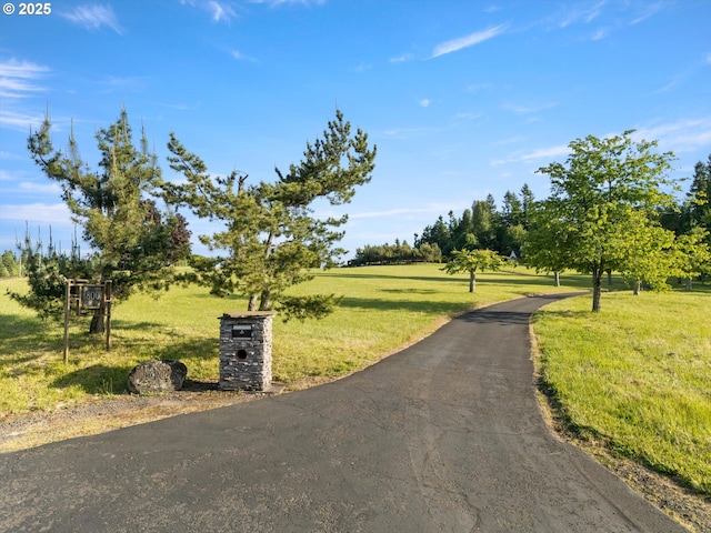 800 Rosemont Rd, West Linn, OR 97068 - view of road