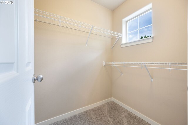 spacious closet with carpet floors