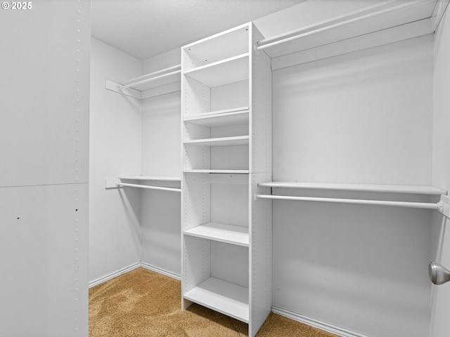 14300 Sherbrook Pl, Lake Oswego, OR 97035 - spacious closet featuring carpet flooring