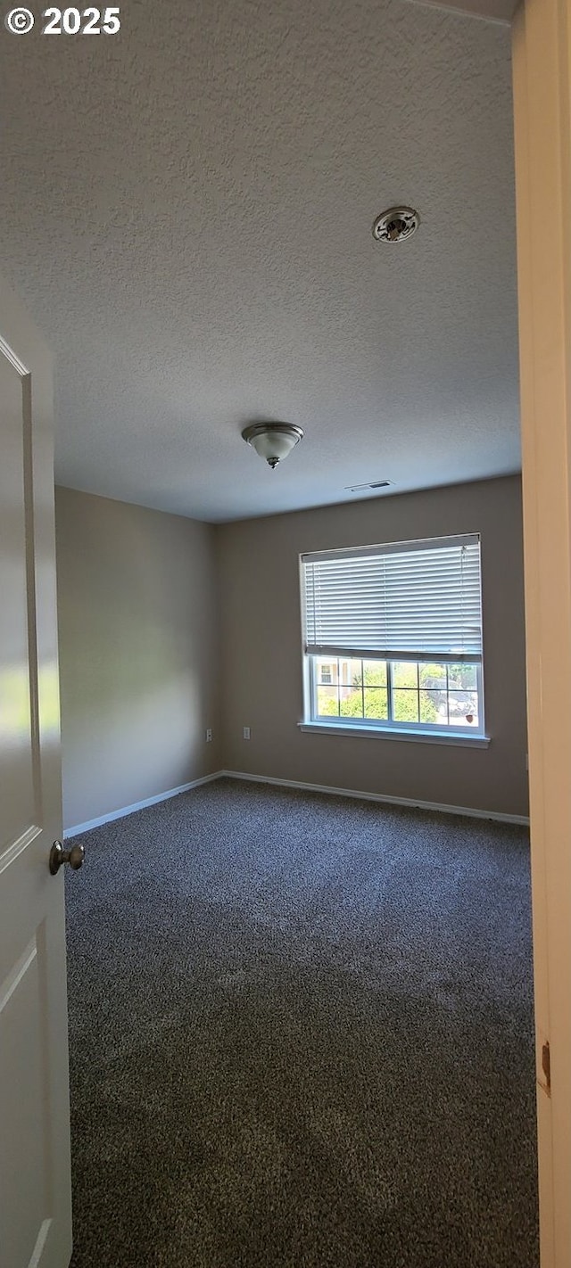 carpeted spare room featuring a textured ceiling