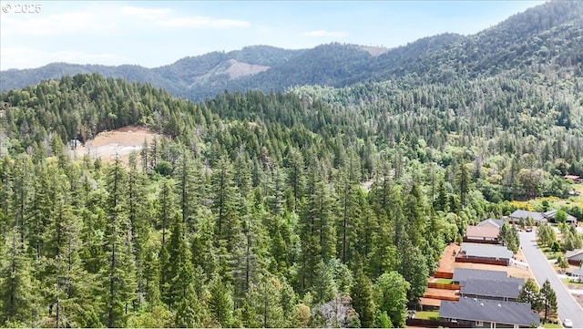 drone / aerial view of a forest and a mountainous background