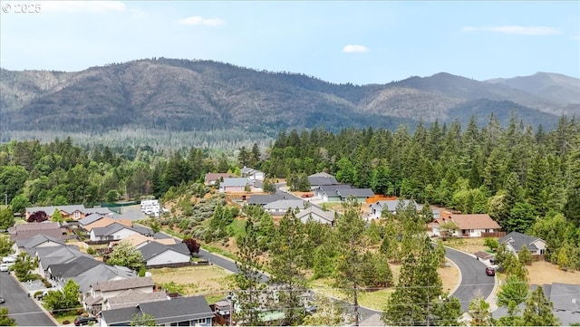 aerial view of residential area with a forest and a mountainous background