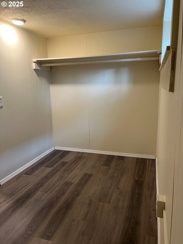 spacious closet featuring dark wood-style flooring