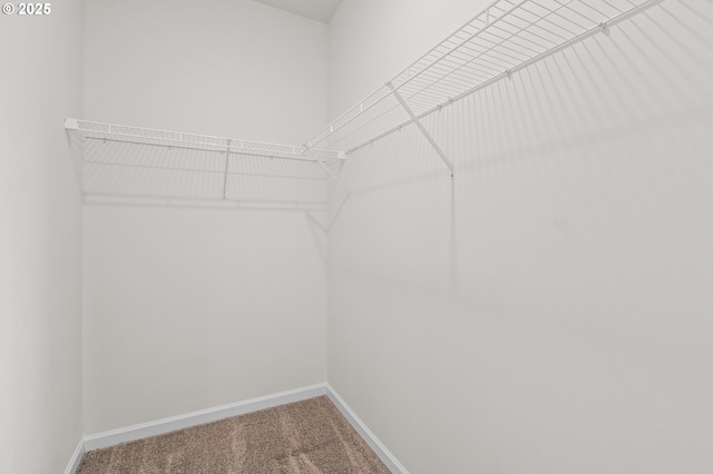 1712 W 12th St, La Center, WA 98629 - walk in closet featuring carpet flooring