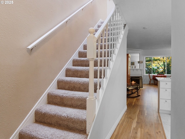 stairs with wood-type flooring