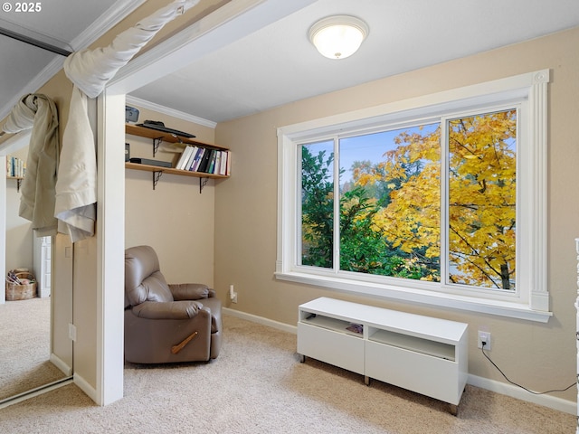 living area featuring light carpet, plenty of natural light, and crown molding