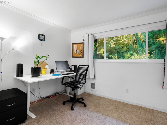 office space featuring carpet floors and crown molding