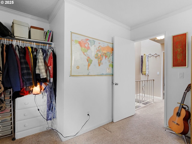 interior space featuring carpet flooring and crown molding