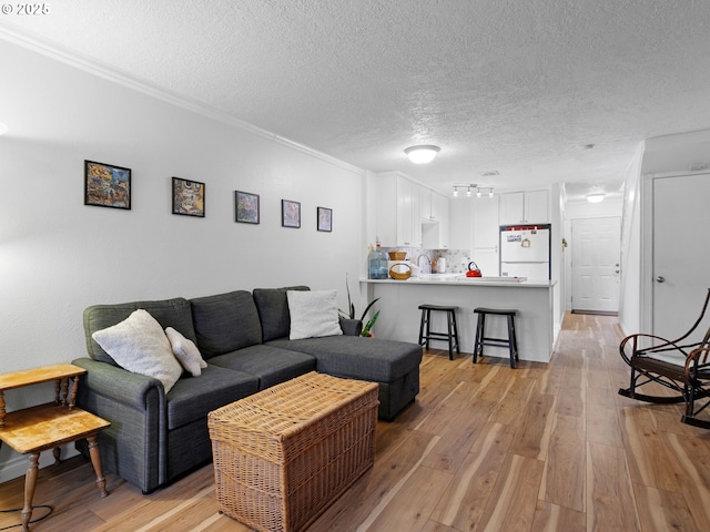 living room featuring sink, crown molding, light wood-type flooring, and a textured ceiling