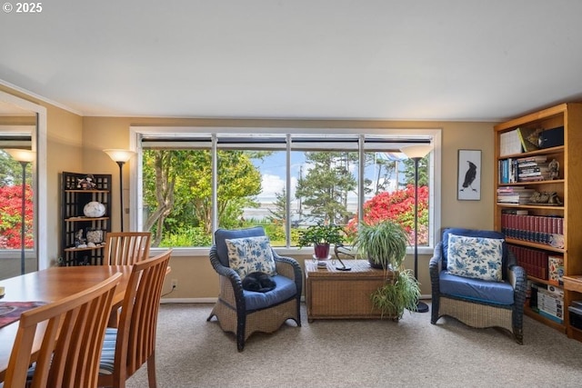 1745 Pearl St, Tillamook, OR 97141 - living area with healthy amount of natural light, carpet, and baseboards