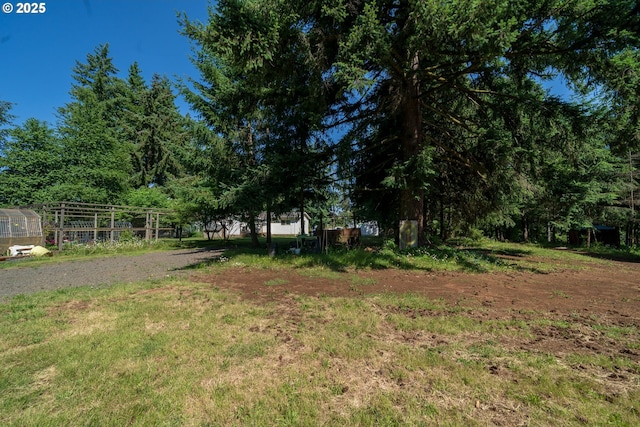 20131 Bridge Creek Rd SE, Silverton, OR 97381 - view of yard with a greenhouse