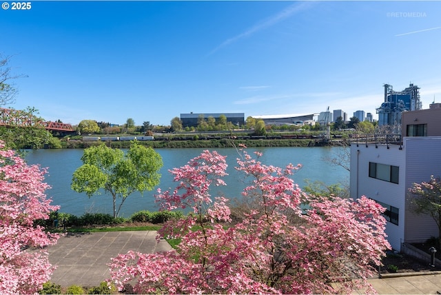 property view of water